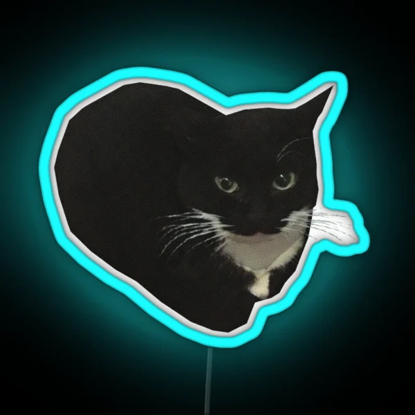 Maxwell The Cat RGB Neon Sign