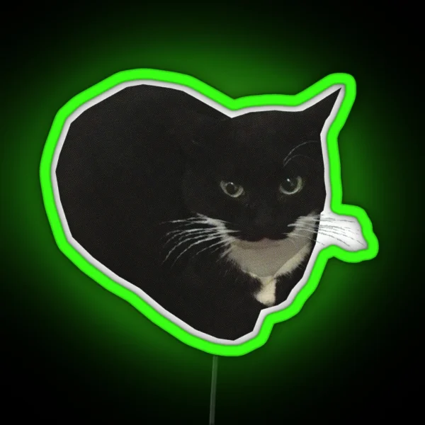Maxwell The Cat RGB Neon Sign