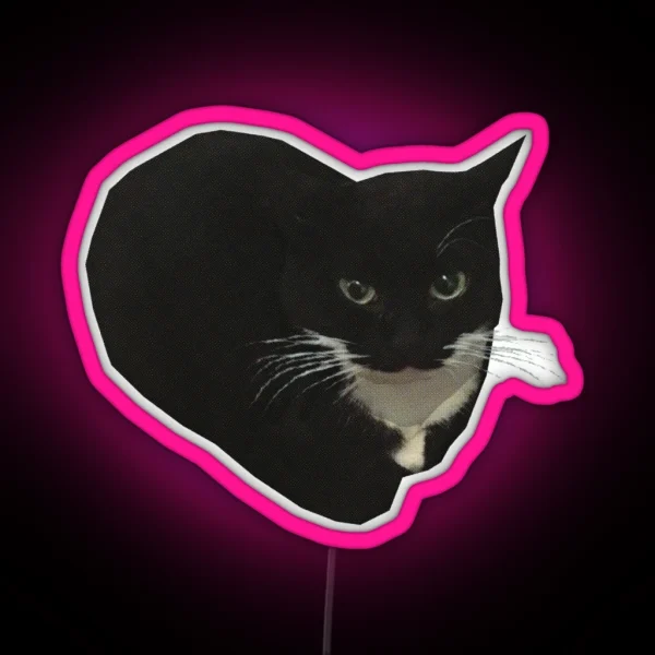 Maxwell The Cat RGB Neon Sign