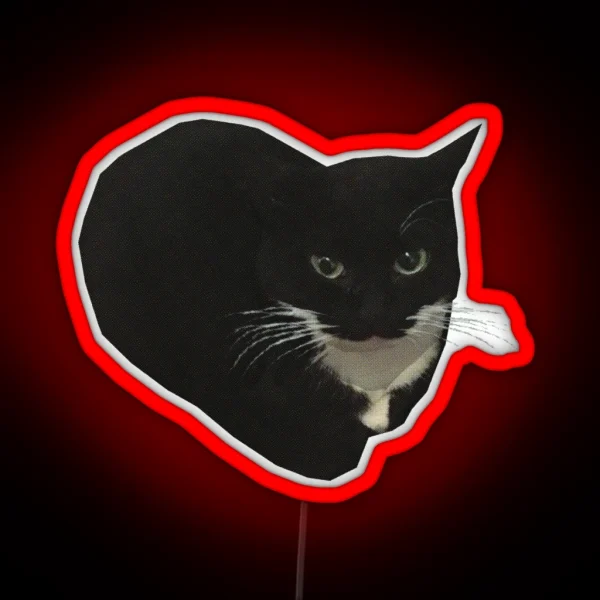Maxwell The Cat RGB Neon Sign