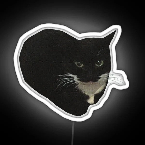 Maxwell The Cat RGB Neon Sign