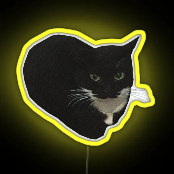 Maxwell The Cat RGB Neon Sign