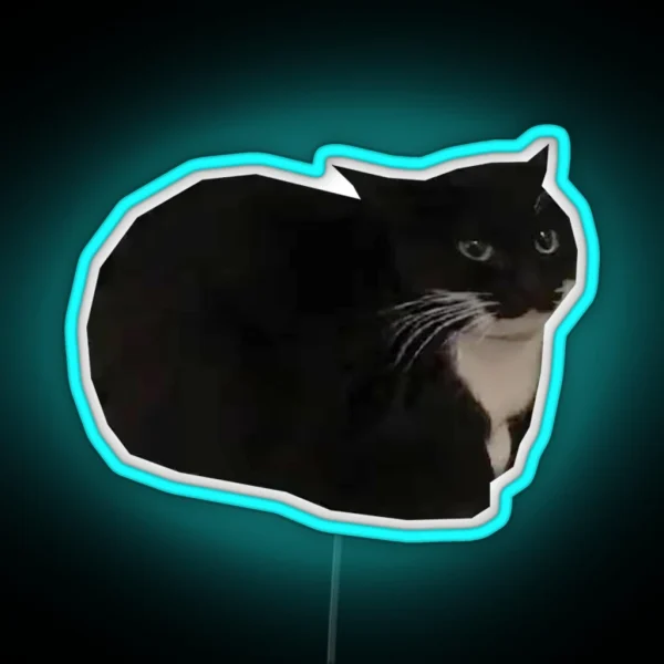 Maxwell The Cat Shitpost Meme Funny 2023 RGB Neon Sign