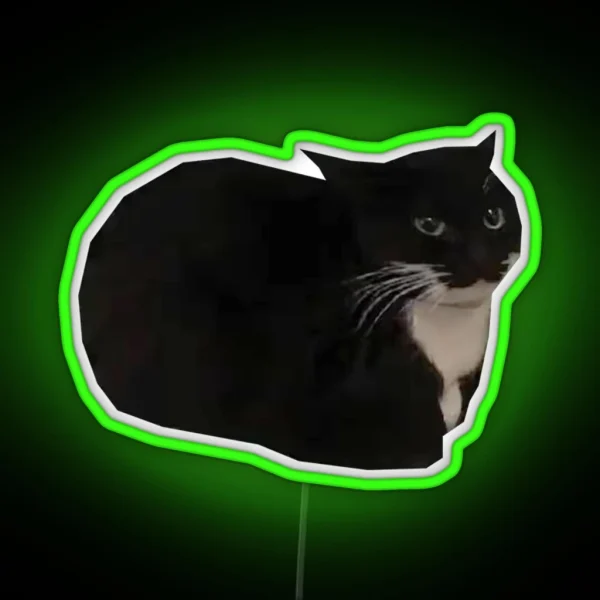 Maxwell The Cat Shitpost Meme Funny 2023 RGB Neon Sign