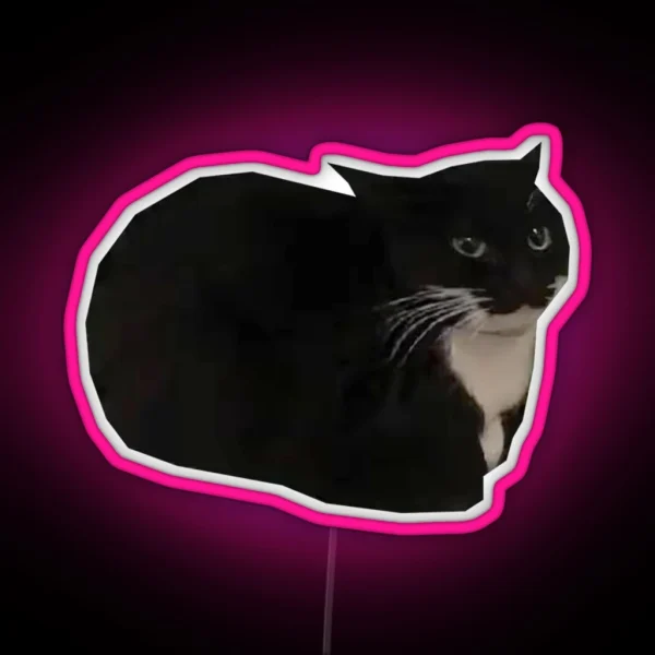 Maxwell The Cat Shitpost Meme Funny 2023 RGB Neon Sign