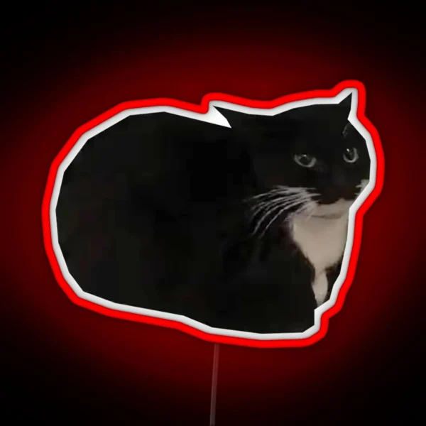 Maxwell The Cat Shitpost Meme Funny 2023 RGB Neon Sign