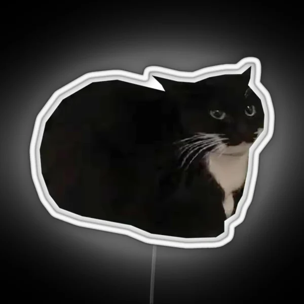 Maxwell The Cat Shitpost Meme Funny 2023 RGB Neon Sign