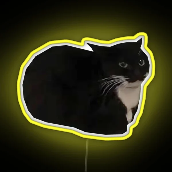 Maxwell The Cat Shitpost Meme Funny 2023 RGB Neon Sign
