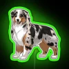 RGB neon sign featuring iconic Merle Australian Shepherd breed design.