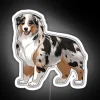 RGB Neon Sign Featuring Adorable Merle Australian Shepherd Dog Breed