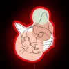 Neon minimalist line art cat design with vibrant RGB colors.