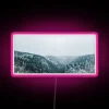 Dreamy neon art display featuring vibrant RGB color-changing LED lights.