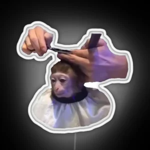 Monkey Haircut RGB Neon Sign