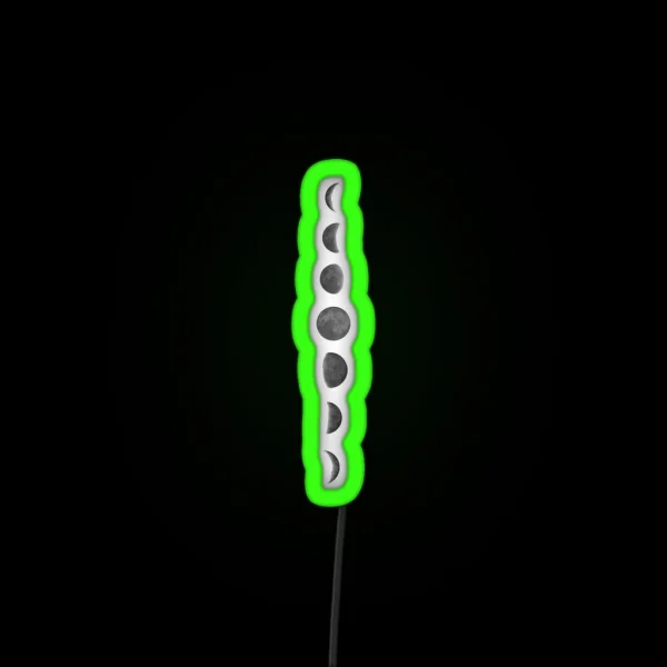 Moon Phases RGB Neon Sign