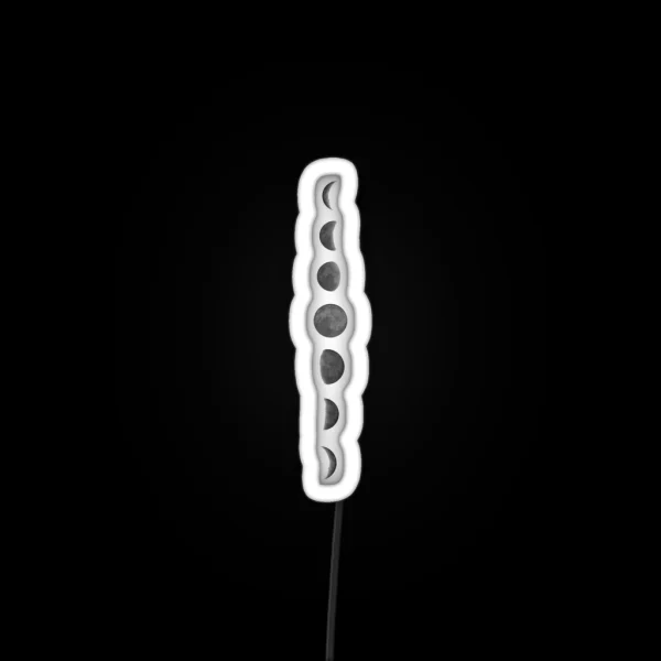 Moon Phases RGB Neon Sign