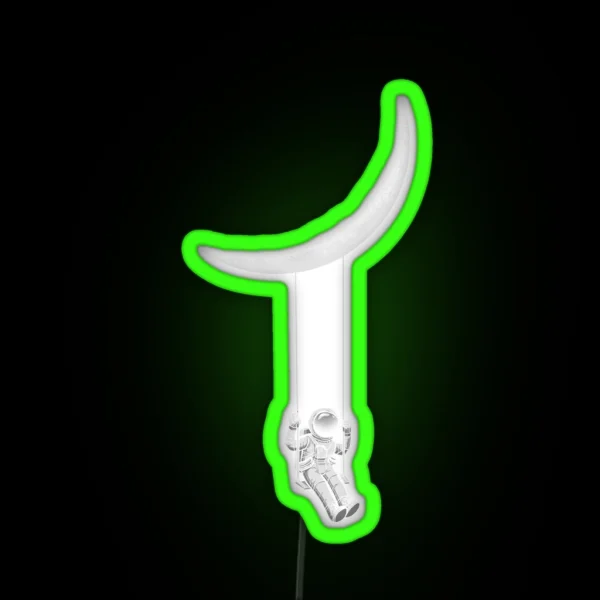 Moon Swing RGB Neon Sign