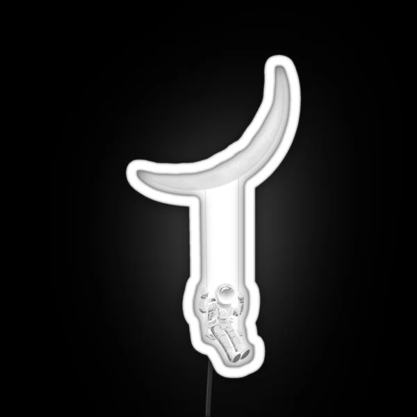 Moon Swing RGB Neon Sign