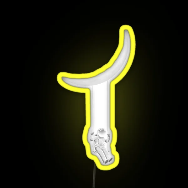 Moon Swing RGB Neon Sign