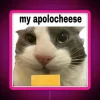 Color-Changing RGB Neon Sign with Personalized Message ApoloCheese Cat Design