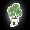 Colorful reminder to water your plants before yourself always