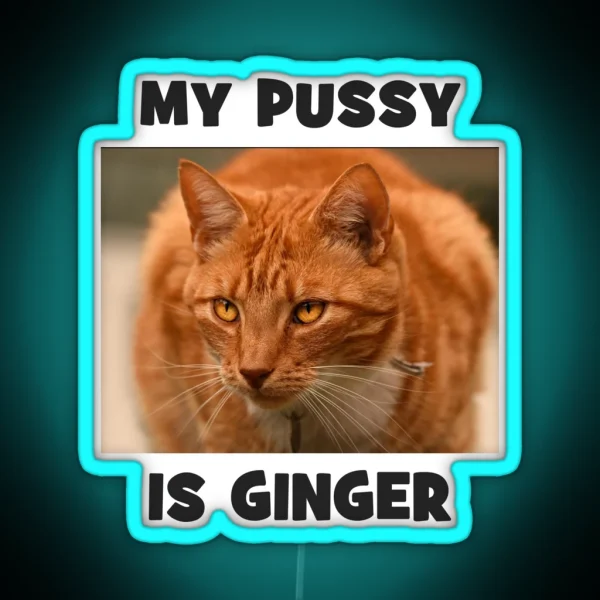 My Pussy Is Ginger Cheeky Double Entendre Cat RGB Neon Sign