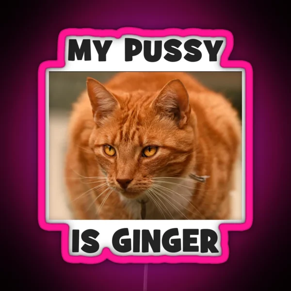 My Pussy Is Ginger Cheeky Double Entendre Cat RGB Neon Sign