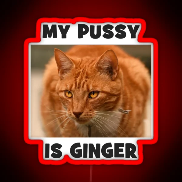 My Pussy Is Ginger Cheeky Double Entendre Cat RGB Neon Sign