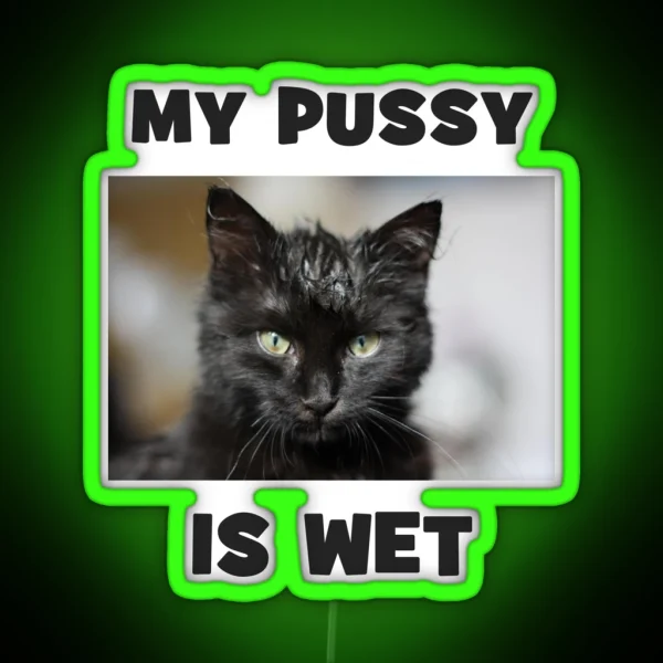 My Pussy Is Wet Cheeky Double Entendre Cute Cat RGB Neon Sign