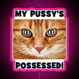 My Pussy S Possessed Cheeky Double Entendre Cat RGB Neon Sign