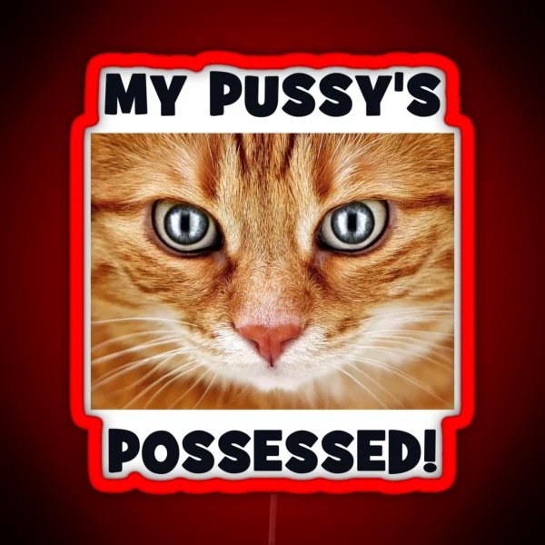 My Pussy S Possessed Cheeky Double Entendre Cat RGB Neon Sign