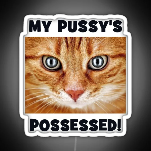 My Pussy S Possessed Cheeky Double Entendre Cat RGB Neon Sign