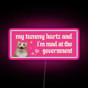 My Tummy Hurts And I M Mad At The Government Cat Bumper RGB Neon Sign