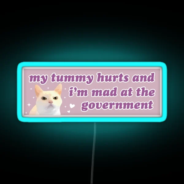 My Tummy Hurts And I M Mad At The Government Funny RGB Neon Sign