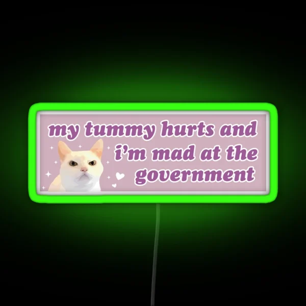 My Tummy Hurts And I M Mad At The Government Funny RGB Neon Sign