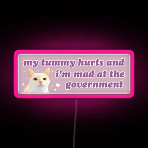 My Tummy Hurts And I M Mad At The Government Funny Bumper RGB Neon Sign