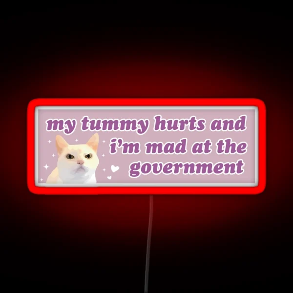 My Tummy Hurts And I M Mad At The Government Funny RGB Neon Sign