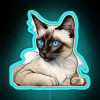 Unique Mystique Gaze Neon Sign With Vibrant RGB Lighting Effects