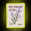 New England-inspired vibrant RGB neon sign for home decor accent