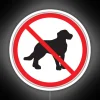 No dogs allowed signs for apartments, hotels, homes, and military bases.