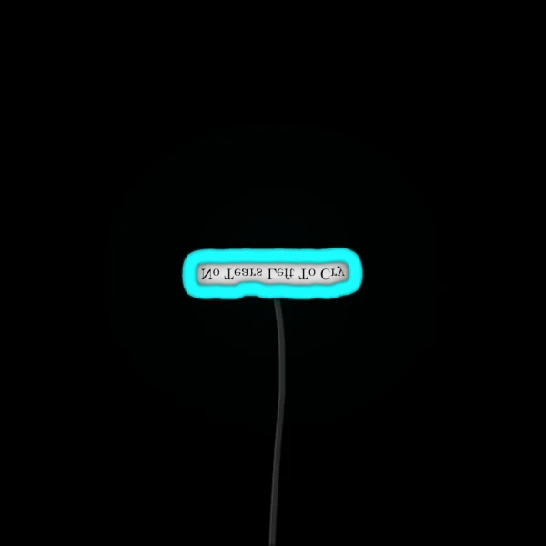 No Tears Left To Cry RGB Neon Sign