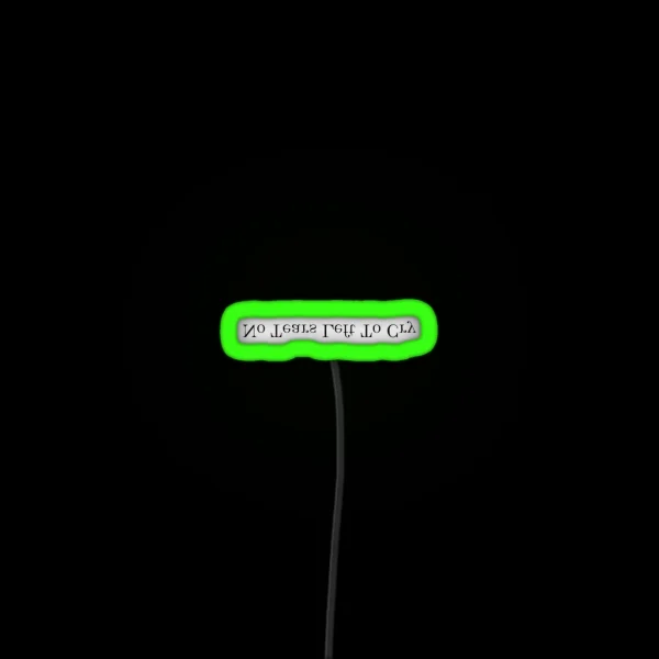 No Tears Left To Cry RGB Neon Sign