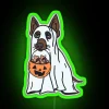 Neon Home Decor Sign with Spooky No Tricks Just Treats Design