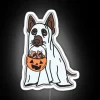 Spooky pet-friendly decor with glowing RGB neon word 'Treats' sign