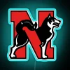 Northeastern University official licensed Special Series 03 RGB neon sign