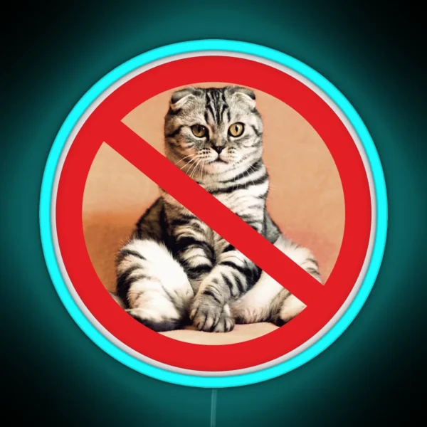 Not Allowed For Cats Sign RGB Neon Sign