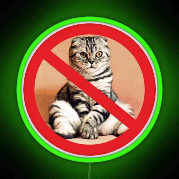 Not Allowed For Cats Sign RGB Neon Sign