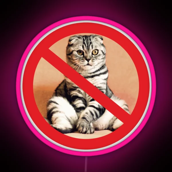 Not Allowed For Cats Sign RGB Neon Sign
