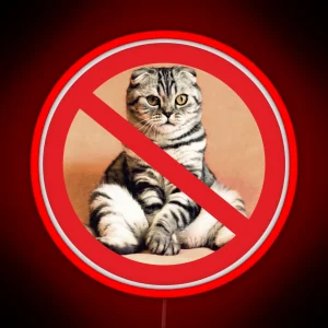 Not Allowed For Cats Sign RGB Neon Sign