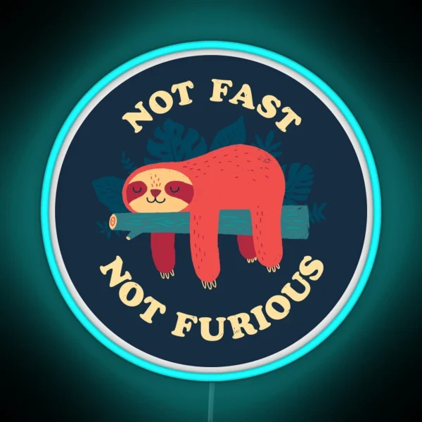 Not Fast Not Furious RGB Neon Sign