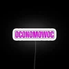 Oconomowoc WI local artistry inspired color-changing neon wall decor artwork